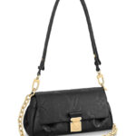 Louis Vuitton Favorite Black